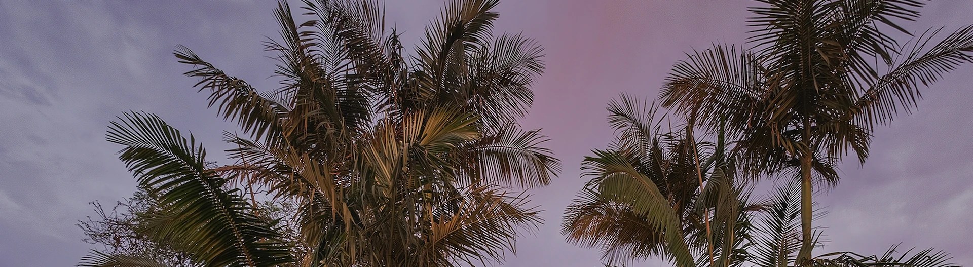 Hemingways Nairobi - Image 6