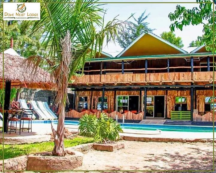 Dovenest Lodge - Image 3