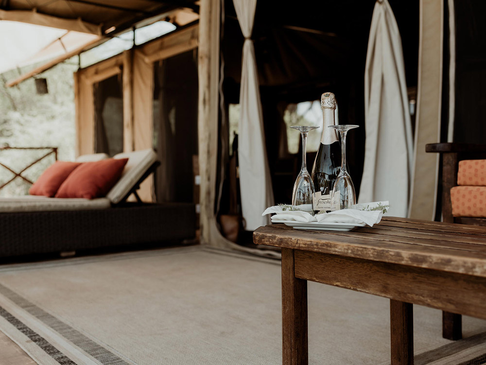 Elephant Bedroom Camp - Image 3