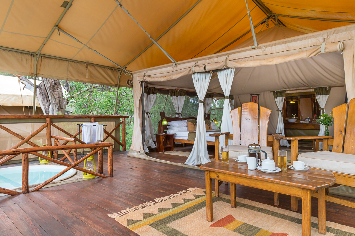 Elephant Bedroom Camp - Image 2