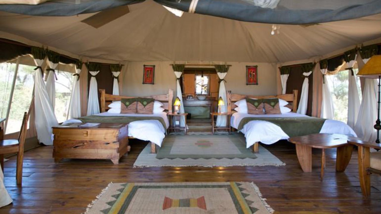 Elephant Bedroom Camp - Image 4