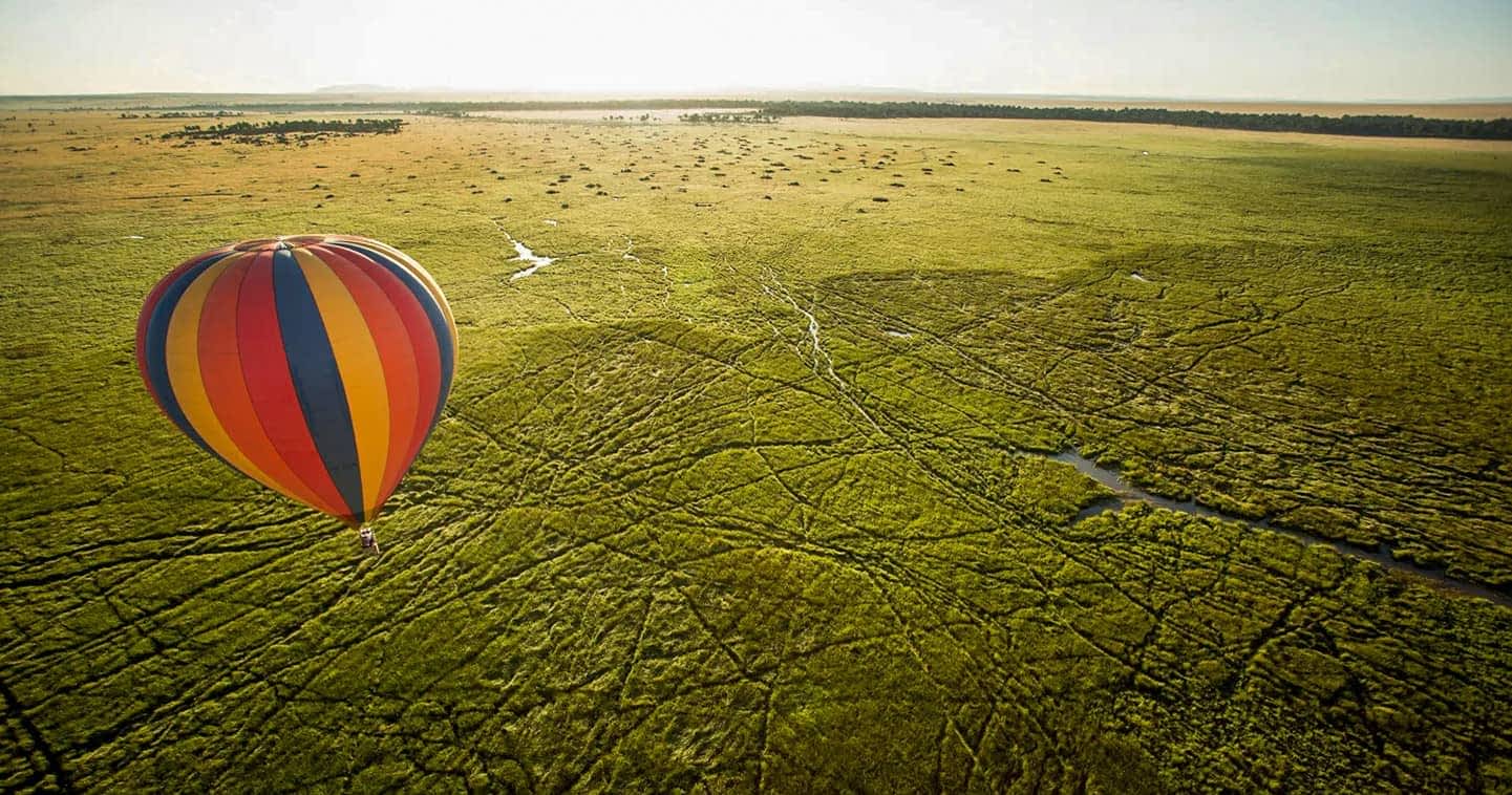 Hot Air Balloon Safaris