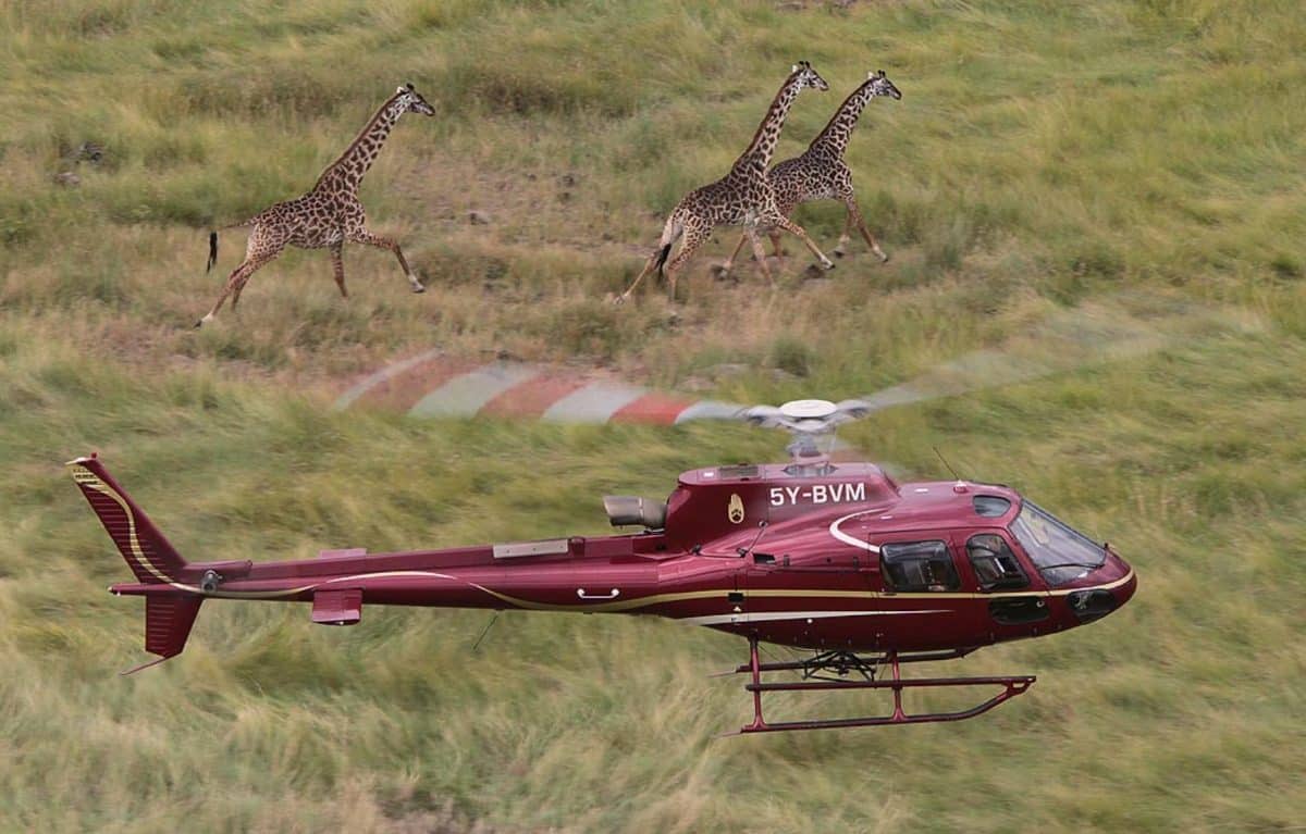 Helicopter Scenic Flights & Heli-Safaris