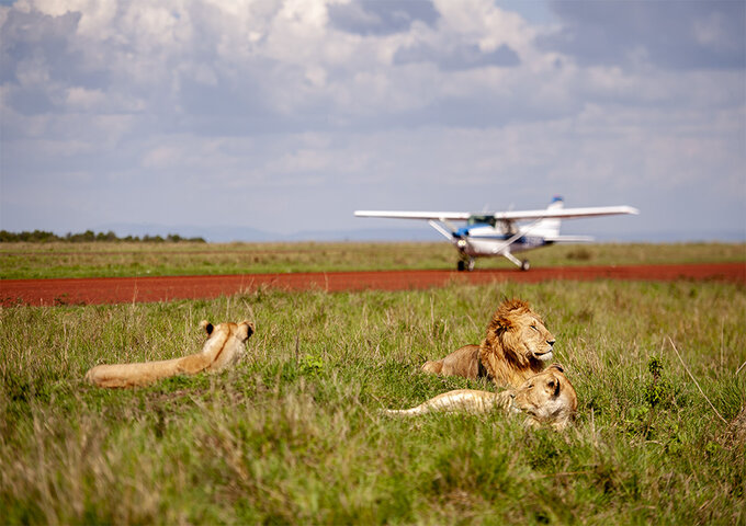 Fly-In vs Road Safari in Kenya: The Ultimate Guide to Choosing Your Perfect Circuit