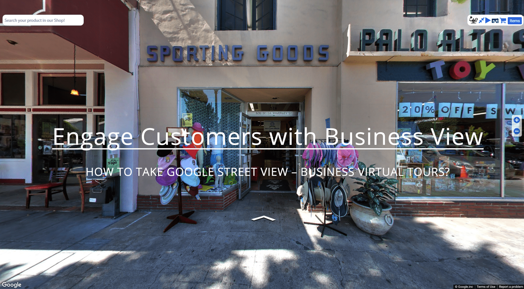 Google Business View