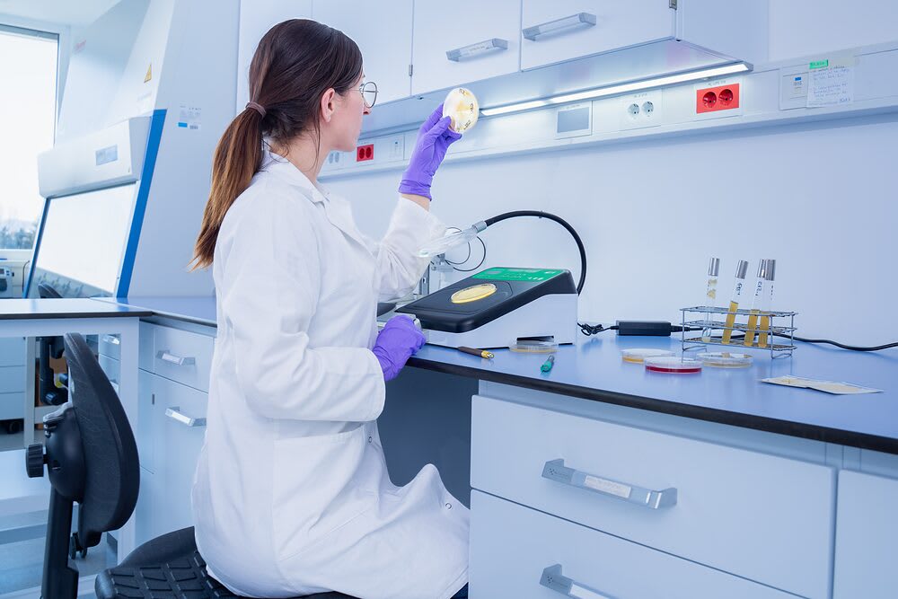 A scientist examining a culture plate in a laboratory
