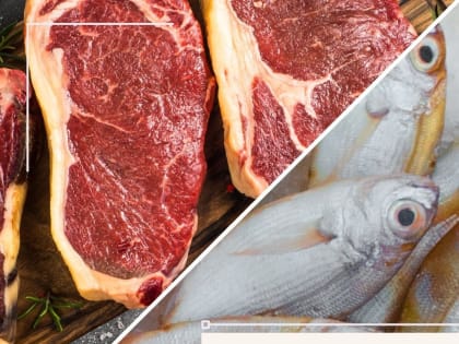 Мясо или рыба: что полезнее?