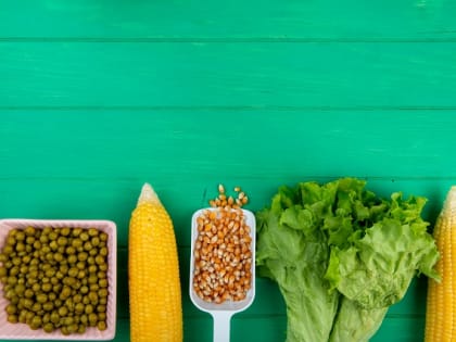 Стало известно, какой продукт защищает кости от разрушения