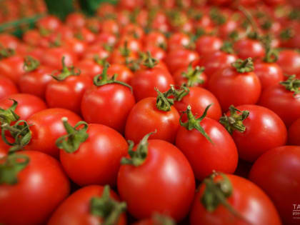 В Татарстане почти на 12% подорожали помидоры
