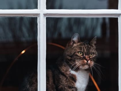 Во власти непогоды окажется Татарстан в конце рабочей недели