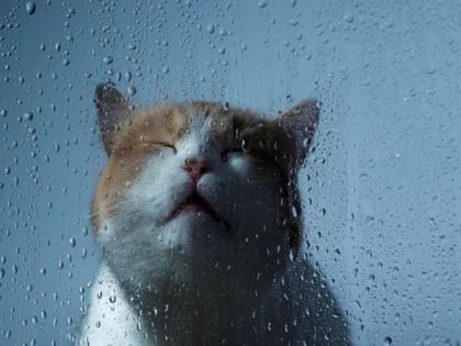 Долгожданный циклон продолжит властвовать в Татарстане в начале недели