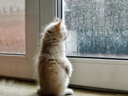 Похолодание в Татарстане продолжится — температуры опустятся до +4 градусов