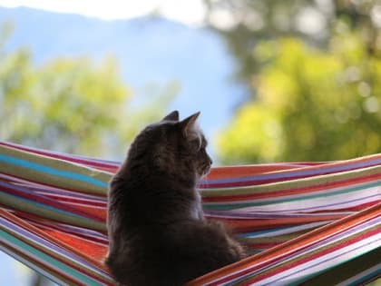 Испепеляющая жара и грозы ожидаются в Татарстане в конце выходных