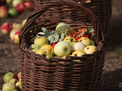 За неделю в Татарстане подешевели яблоки и консервы для детского питания