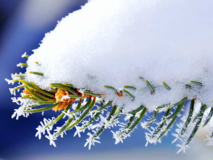 Ежедневный оперативный прогноз на 17 января