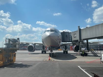 Летевшая в Казань беременная женщина не долетела из-за эпилепсии