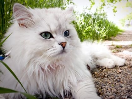 Жаркие выходные: 12 августа в РТ температура воздуха сохранится на отметке +31 градус