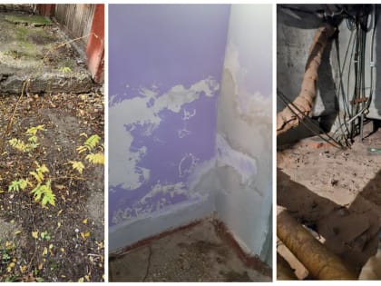 Новые достижения в области науки и образования