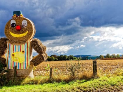 В Татарстане депутаты просят спасти сельское хозяйство