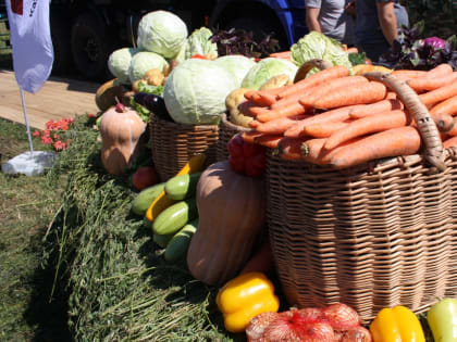 Рост до 52%: как за неделю в Татарстане изменились цены на продукты