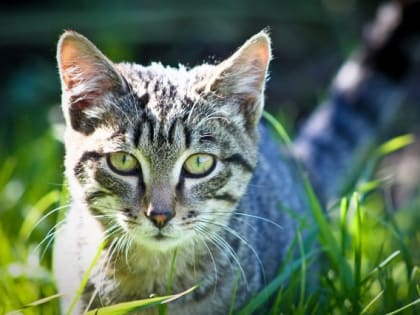 Стало известно, какая погода настигнет жителей Татарстана в конце недели