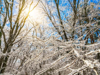 Стало известно, придут ли в Татарстан сретенские морозы