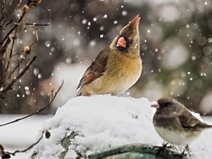 Сильный ветер и до -22 градусов ожидается в Татарстане 12 декабря