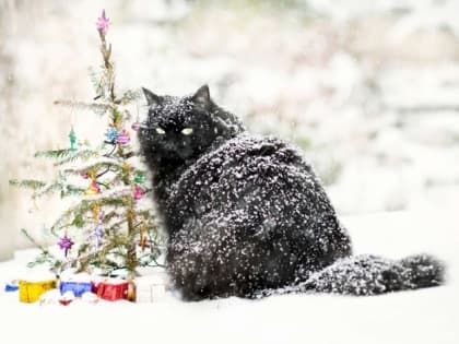 Стало известно, к каким сюрпризам погоды готовиться в Татарстане в начале недели