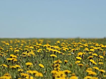 Народные приметы на 30 мая: что можно и чего нельзя делать в этот день
