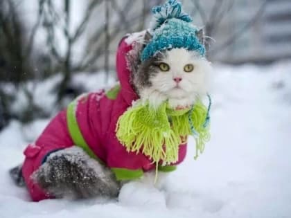 Новогодние каникулы в Татарстане завершатся 35-градусными морозами