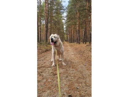 Осенние пейзажи Татарстана