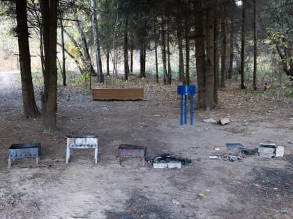 С 22 апреля в Татарстане планируется ввести особый противопожарный режим