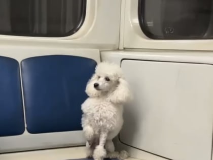 Бесплатное обучение для граждан в рамках федерального проекта