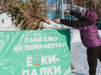 В Казани откроются пункты сбора елок для переработки