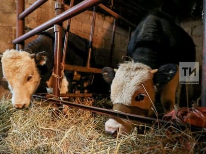 Внимание важно!