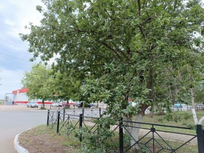 Бугульминцев в течение дня ожидает слабый дождь