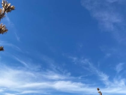 В Татарстане сохраняется пожарная опасность лесов