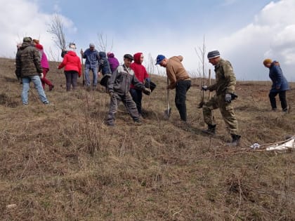 Посадка деревьев в Сатышевском СП