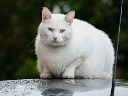 Стало известно, какая погода накроет Татарстан в последнюю июльскую среду