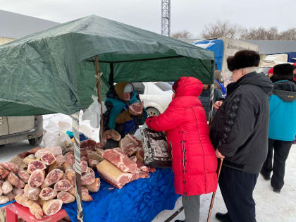 В Челнах пройдут тематические ярмарки «Новогодний гусь»