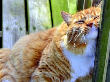 Синоптики рассказали, чем порадует погода жителей Татарстана в середине недели