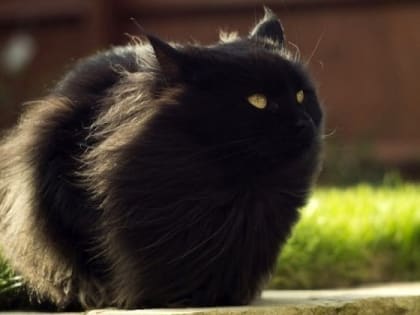 Сильный ветер вперемешку с грозовыми дождями накроют Татарстан 2 июля