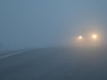 Консультация: важный шаг к предупреждению заболеваний