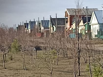 5 апреля 2023 года сотрудники спортшколы «Олимп» приняли участие в уборке территории по улице Магистральная