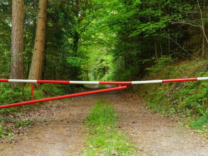В Татарстане введено временное ограничение на посещение лесов