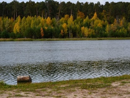 Роспотребнадзор разъяснил, можно ли заразиться «пожирающей мозг амебой» в водоемах РФ