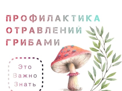 Профилактика отравлений грибами