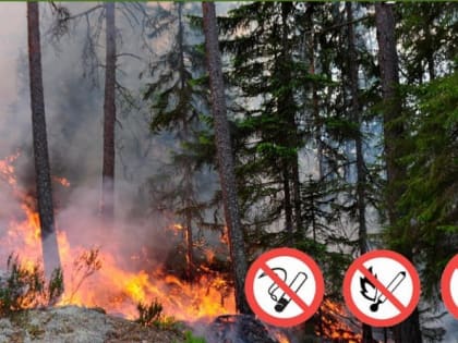 В Татарстане объявлена высокая пожарная опасность