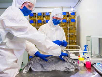 В России зарегистрировали шесть новых вакцин для животных