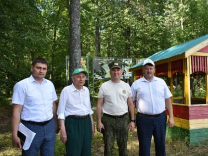 Лесам Татарстана угрожает непарный шелкопряд